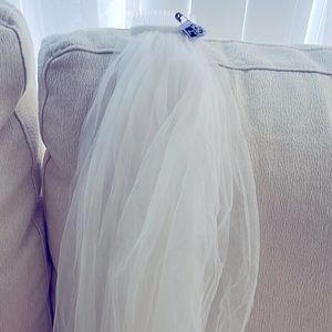 Cathedral tulle veil
